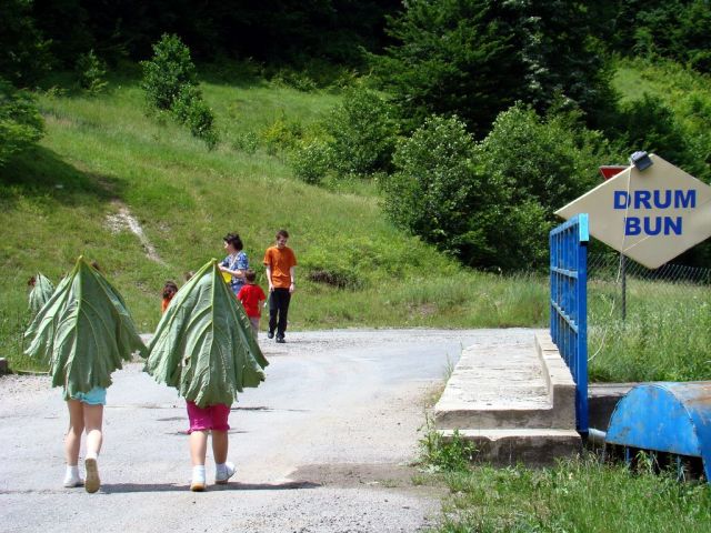 Daily picdump (134 pics)