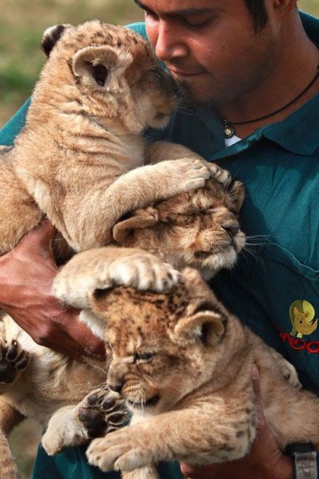 Daily picdump (134 pics)