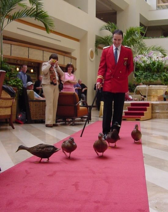 Daily picdump (134 pics)