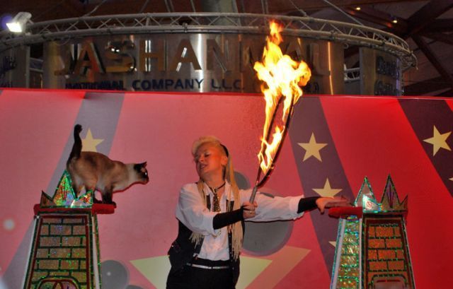 Daily picdump (134 pics)