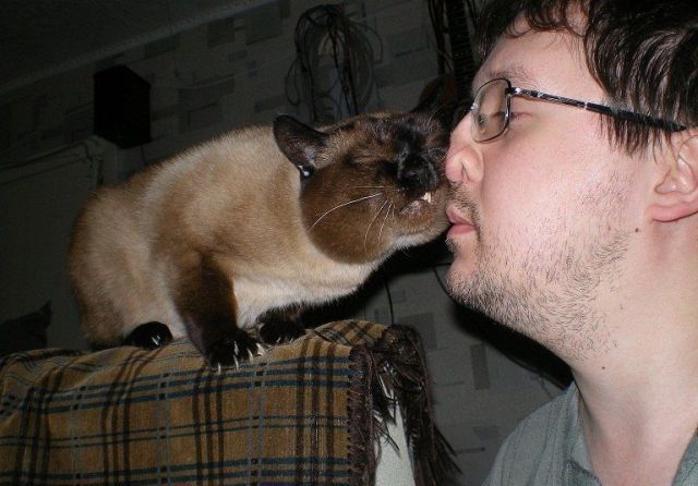 Daily picdump (137 pics)