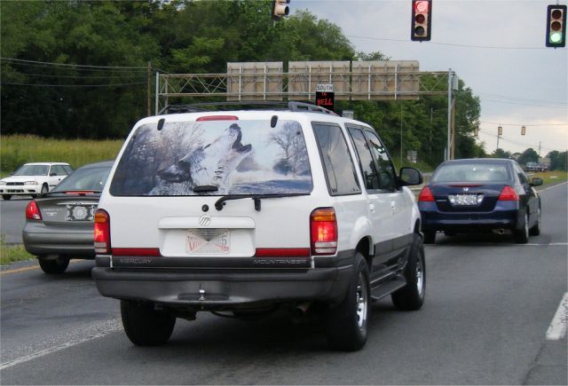 Daily picdump (137 pics)