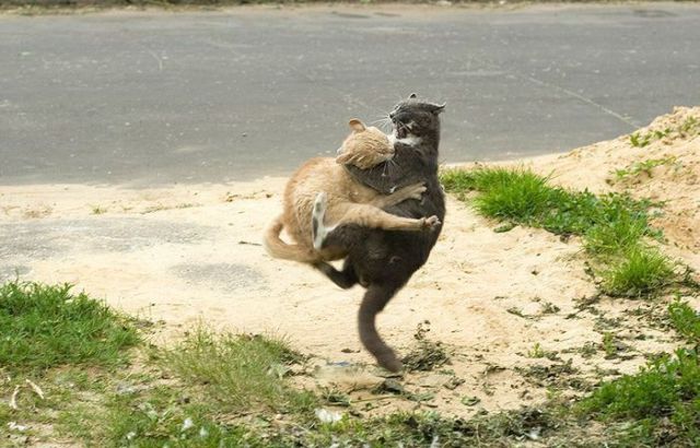 Daily picdump (137 pics)