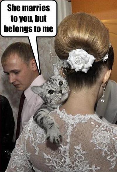 Daily picdump (137 pics)