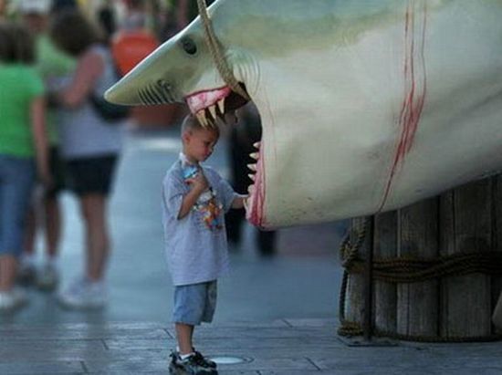 Daily picdump (137 pics)