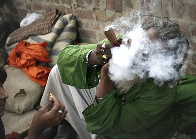 Daily picdump (137 pics)