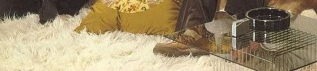 70s Danish Porno Style Interior Design (90 pics)