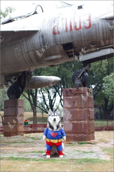 Daily picdump (129 pics)