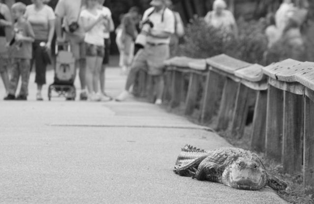 Daily picdump (129 pics)