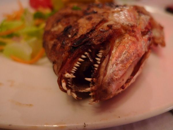 Daily picdump (129 pics)