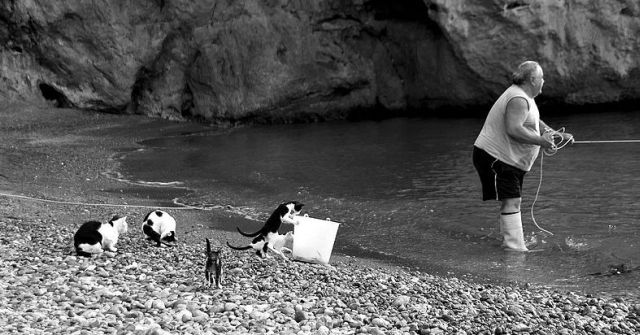 Daily picdump (129 pics)