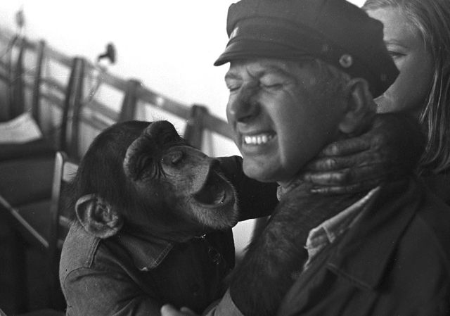 Daily picdump (129 pics)