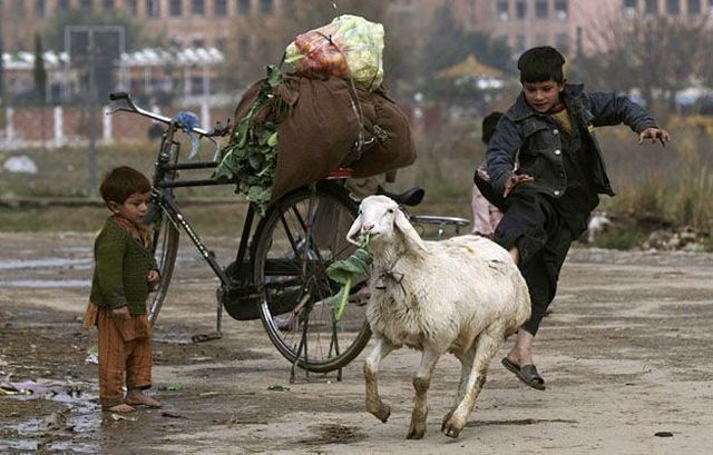 Daily picdump (146 pics)