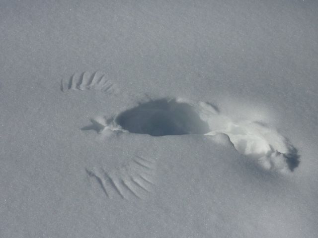 Daily picdump (146 pics)