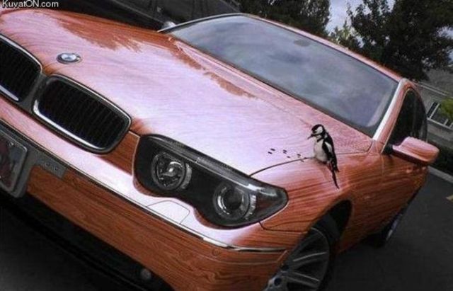 Daily picdump (146 pics)