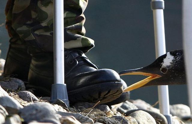 Daily picdump (146 pics)