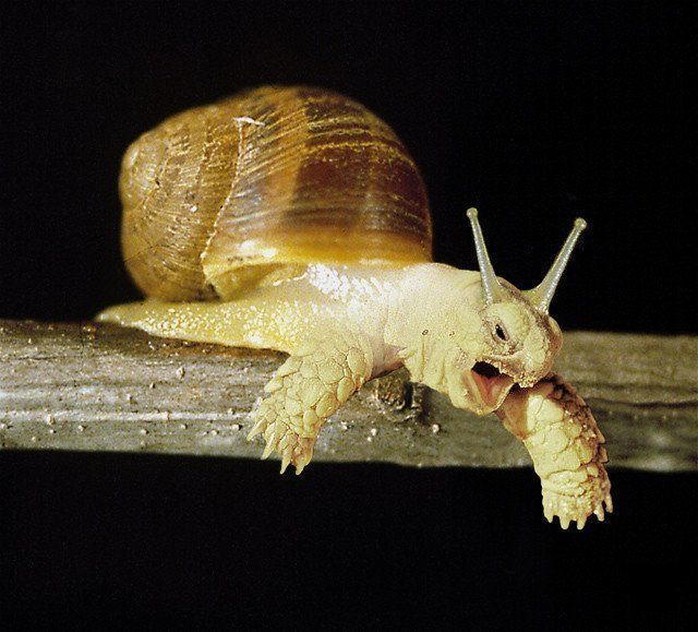 Daily picdump (146 pics)