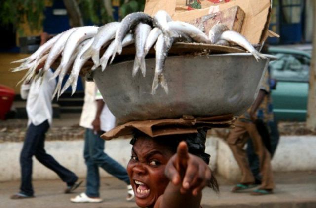 Daily picdump (146 pics)