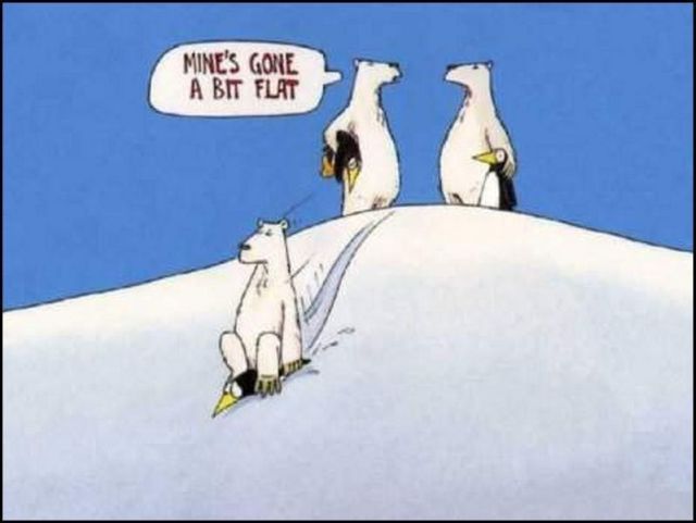 Daily picdump (146 pics)