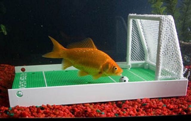 Daily picdump (146 pics)