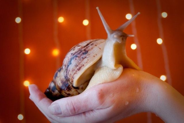 Daily picdump (146 pics)