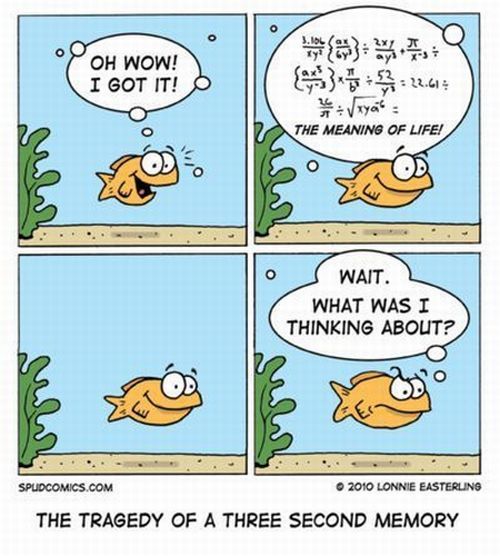 Daily picdump (146 pics)