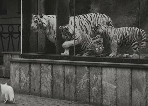 Daily picdump (146 pics)