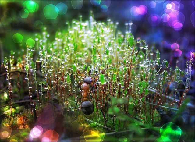 Daily picdump (146 pics)