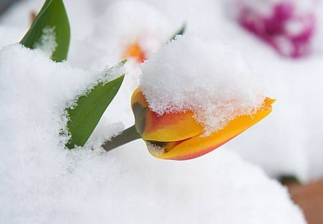 Daily picdump (146 pics)