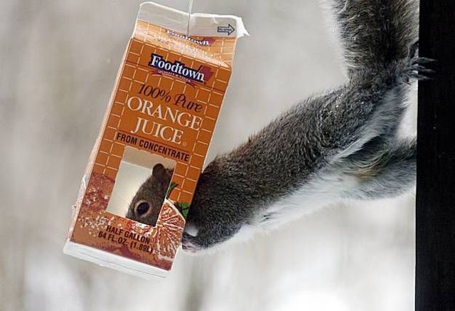 Daily picdump (146 pics)