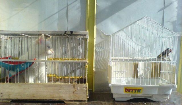 Daily picdump (146 pics)