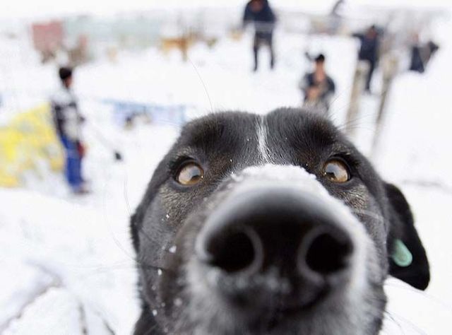 Daily picdump (146 pics)