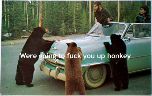 Daily picdump (146 pics)