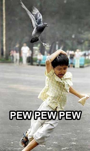 Daily picdump (142 pics)