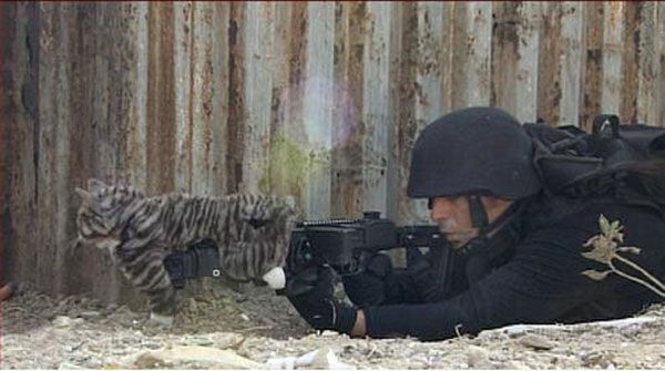 Daily picdump (142 pics)