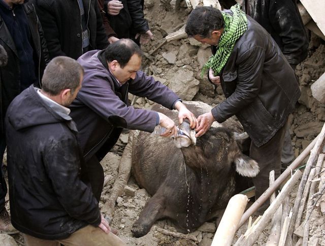 Daily picdump (142 pics)