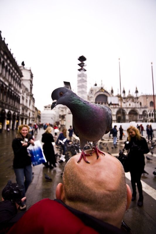 Daily picdump (142 pics)