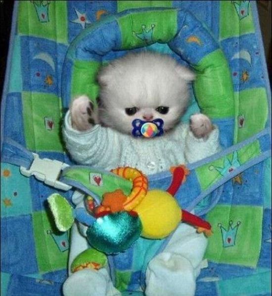 Daily picdump (142 pics)