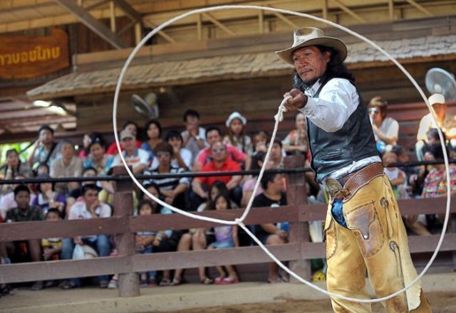 Daily picdump (142 pics)