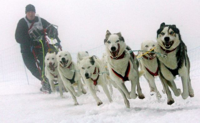 Daily picdump (142 pics)