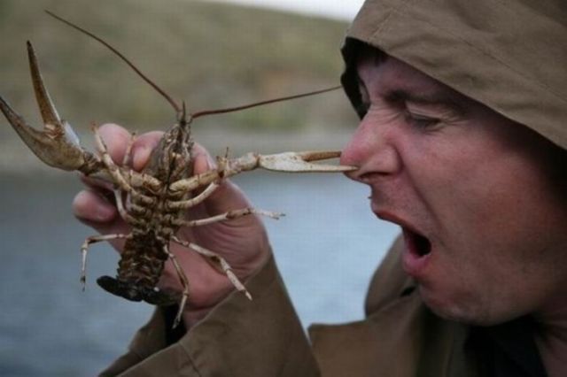 Daily picdump (142 pics)