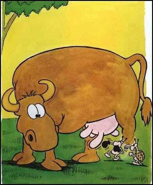 Daily picdump (142 pics)