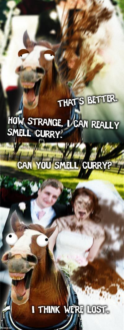 Daily picdump (142 pics)