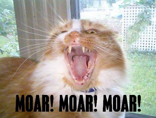 Selection of MOAR Faces (47 pics)