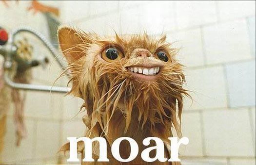 Selection of MOAR Faces (47 pics)