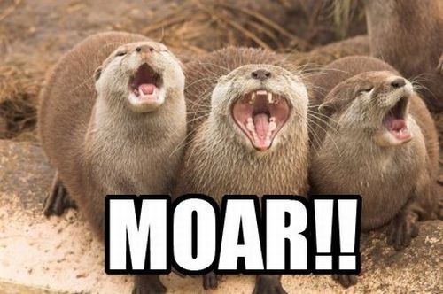 Selection of MOAR Faces (47 pics)