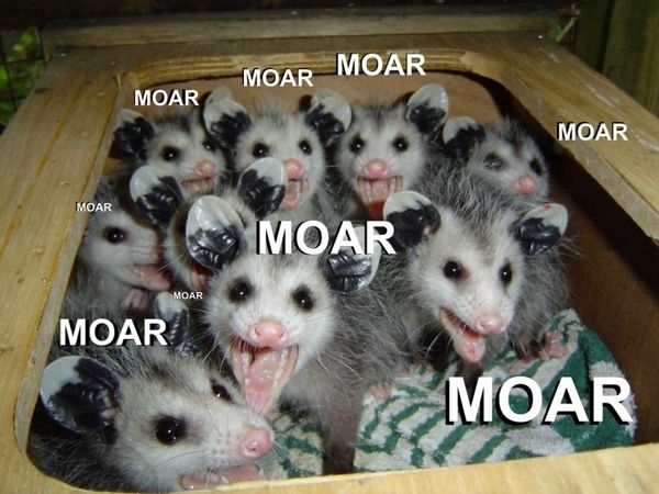 Selection of MOAR Faces (47 pics)