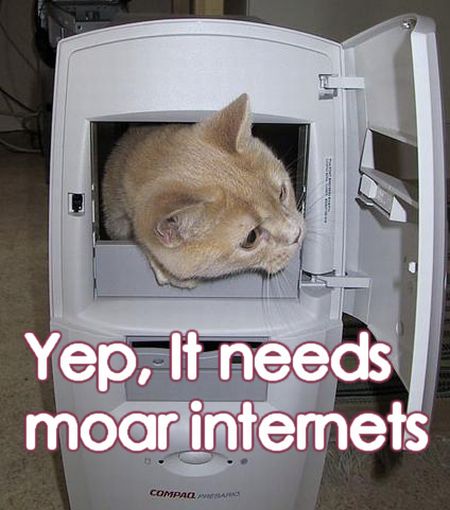 Selection of MOAR Faces (47 pics)