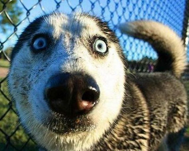 Daily picdump (154 pics)