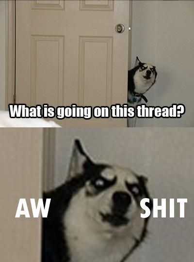 Daily picdump (154 pics)